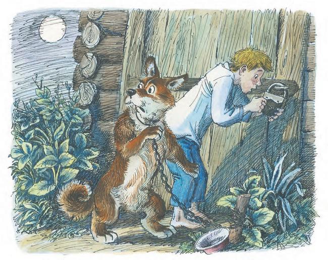 ������ ��� ������ ������